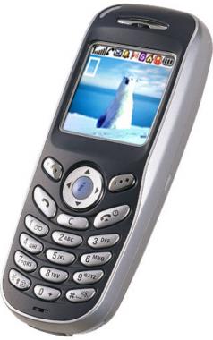 Сотовый телефон Samsung SGH-X100