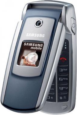 Сотовый телефон Samsung SGH-X550