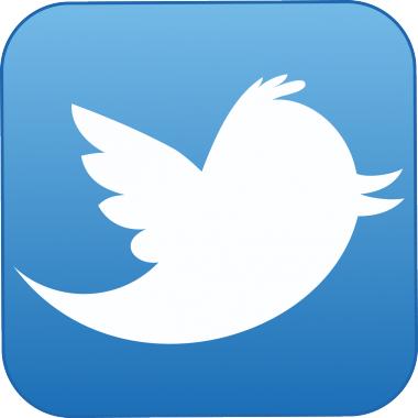 Веб-сайт «Twitter» twitter.com