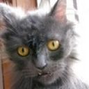 Сергей_Павлов