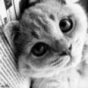 Лена_Котова