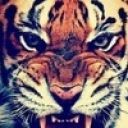 Вова_Бондаренко