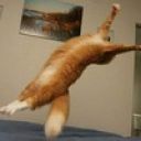 Ольга_Малярова