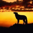 Александр_Есин