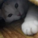 Андрей_Демин