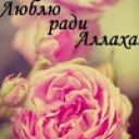 Гульнур_Шарипова