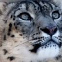 Александр_Миров