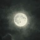 Чистый_Лист