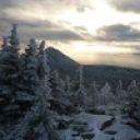 Лоханкин Васисуалий