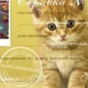 Настюша Сидорова