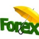 forexbiz