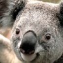 Дима Маликов