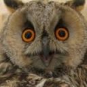 Антоша Вереханов