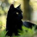 Екатерина Сокур