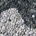 Августа Юлия