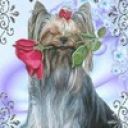 Александра Зуйкова