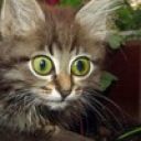 Дмитрий Захаров