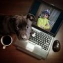 Максим Брыков