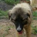 Игорь Игорь_