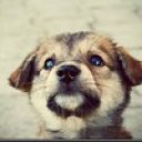 Ксюша Смирнова