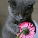 Валерия Антошина