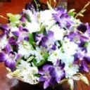 Юлия Баронова