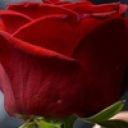 Алексей Козлов_1