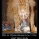 Иван Петров_4