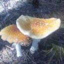 Анна Круглова