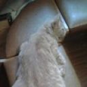 Юрий Коротченко