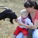 Наталья Баланова