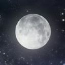 Алексей Желток