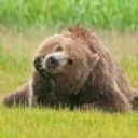 Алексей Мишинин