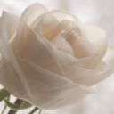 Зухра Сулейманова