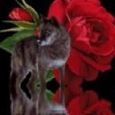 Виктор Щоголев