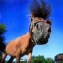 Серега Яловой