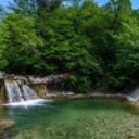 Алекс Федорович