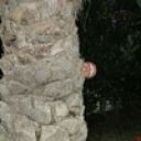 Дмитрус Македонус