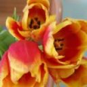 Наталья Втюрина