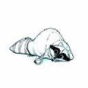 Александр Зверев