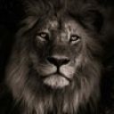 Арсений Корепанов