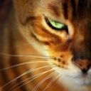 Лена Ленина