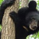 Анна Соколова_