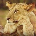 Наташа Кузнецова_