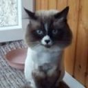 Андрей Ефремов