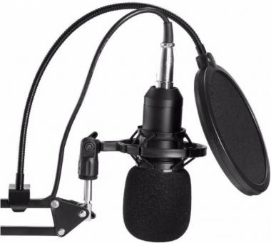 Микрофон HDSNH BM-800